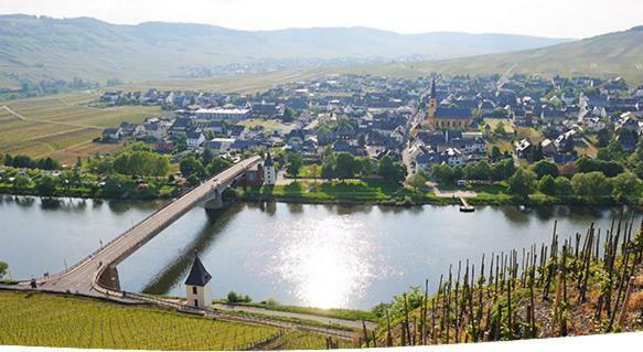 فندق Galerie Riesling تريتينييم المظهر الخارجي الصورة