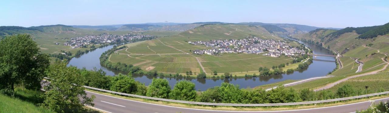 فندق Galerie Riesling تريتينييم المظهر الخارجي الصورة