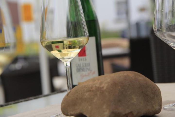 فندق Galerie Riesling تريتينييم المظهر الخارجي الصورة